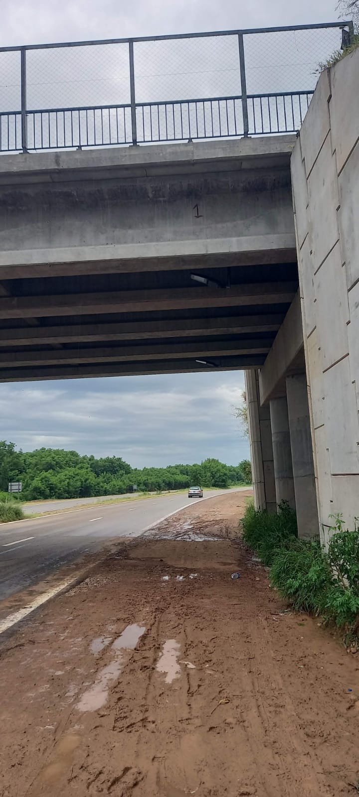 Servicios Especiales